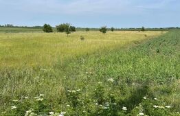 Teren extravilan, 4.994 mp, Targoviste 