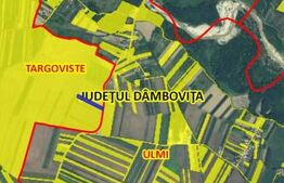 Teren extravilan, 4.994 mp, Targoviste 