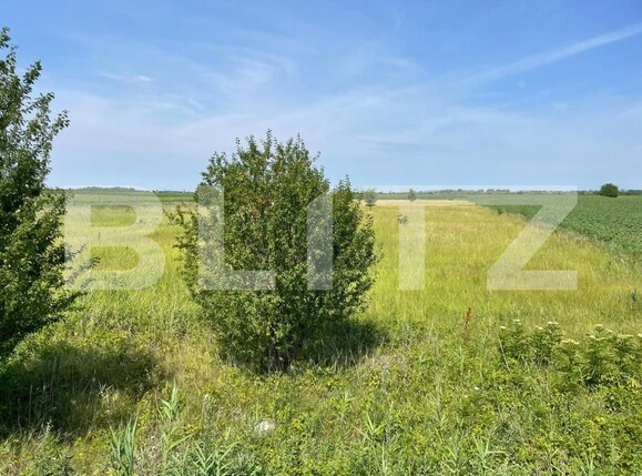 Teren de vânzare Exterior Sud - 180891TV | BLITZ Târgoviște | Poza4