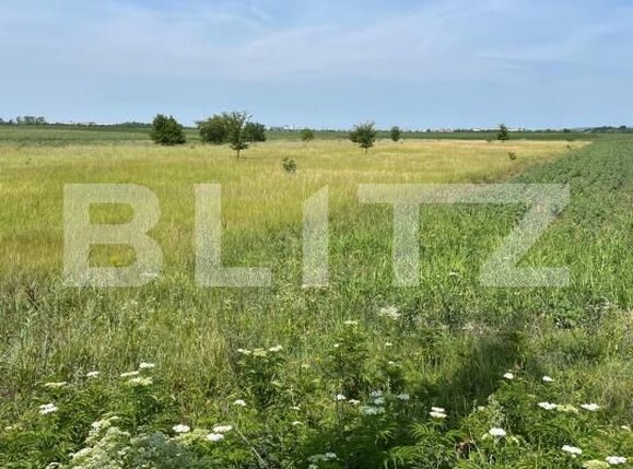 Teren de vânzare Exterior Sud - 180891TV | BLITZ Târgoviște | Poza3