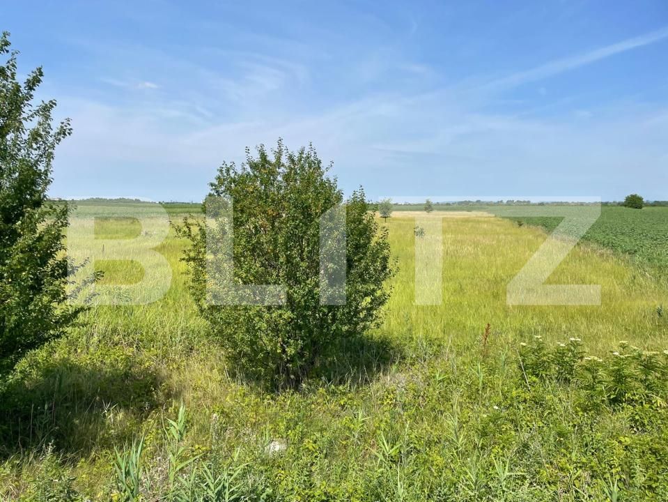 Teren de vânzare Exterior Sud - 180891TV | BLITZ Târgoviște | Poza4