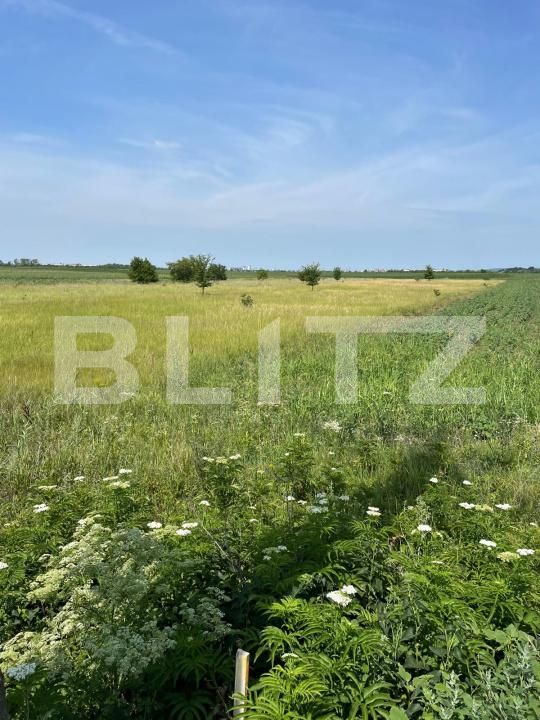 Teren de vânzare Exterior Sud - 180891TV | BLITZ Târgoviște | Poza3