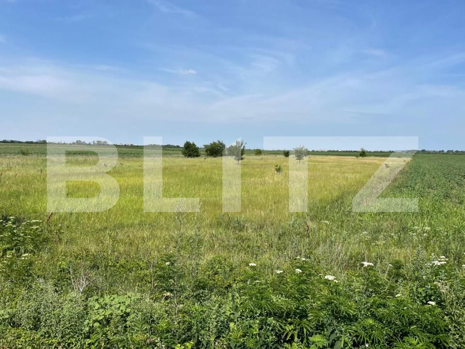 Teren de vânzare Exterior Sud - 180891TV | BLITZ Târgoviște | Poza5