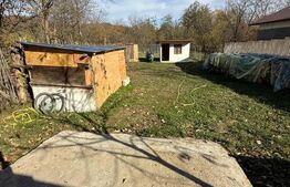 Teren intravilan 1500 mp, ideal pentru casă – Iedera 