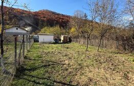 Teren intravilan 1500 mp, ideal pentru casă – Iedera 