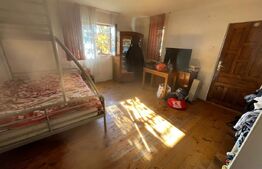 Casă tradițională cu teren 4.500 mp și anexe gospodărești – zonă liniștită