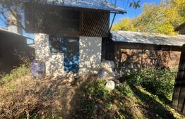 Casă tradițională cu teren 4.500 mp și anexe gospodărești – zonă liniștită