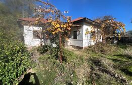 Casă tradițională cu teren 4.500 mp și anexe gospodărești – zonă liniștită