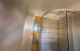 Casă tradițională cu teren 4.500 mp și anexe gospodărești – zonă liniștită