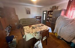 Casă tradițională cu teren 4.500 mp și anexe gospodărești – zonă liniștită