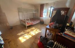 Casă tradițională cu teren 4.500 mp și anexe gospodărești – zonă liniștită