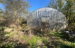 Casă tradițională cu teren 4.500 mp și anexe gospodărești – zonă liniștită