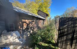 Casă tradițională cu teren 4.500 mp și anexe gospodărești – zonă liniștită