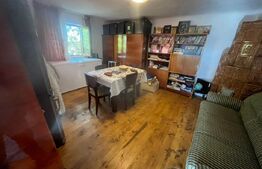 Casă tradițională cu teren 4.500 mp și anexe gospodărești – zonă liniștită