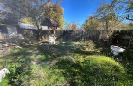 Casă tradițională cu teren 4.500 mp și anexe gospodărești – zonă liniștită