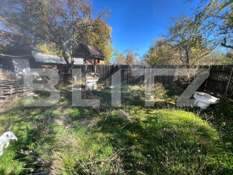 Casa de vânzare 3 camere Racari - 181260CV | BLITZ Târgoviște | Poza5