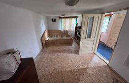 Casă solidă din cărămidă cu teren generos –Gura Ocnitei