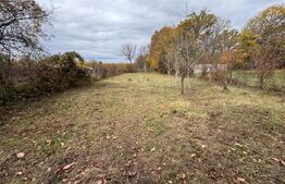 Casă solidă din cărămidă cu teren generos –Gura Ocnitei