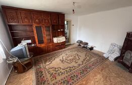 Casă solidă din cărămidă cu teren generos –Gura Ocnitei