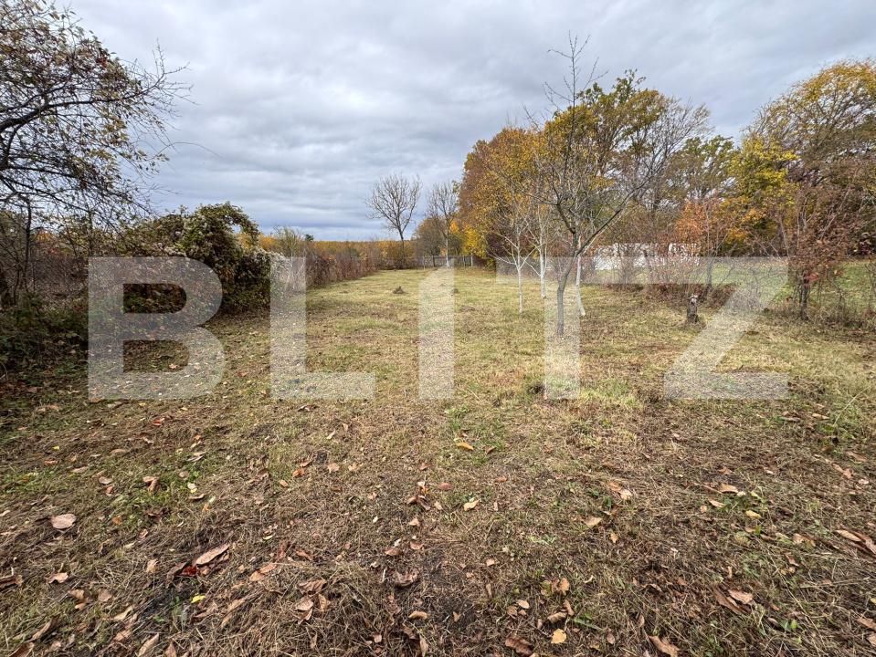 Casa de vânzare 4 camere Exterior Est - 181689CV | BLITZ Târgoviște | Poza9