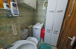 Apartament 3 camere cu grădină și garaj – Radu Popescu, Micro 4