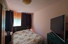  Micro 4 Parter Apartament 3 camere cu grădină 