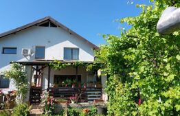 Proprietate unică lângă Patriarhia Târgoviște – 2 case, teren generos, mobilată 