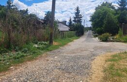 Teren cu vedere panoramică, 32 m deschidere la stradă – Valea Sasului, Dâmbovița