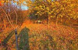 Teren cu vedere panoramică, 32 m deschidere la stradă – Valea Sasului, Dâmbovița