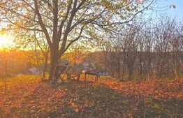 Teren cu vedere panoramică, 32 m deschidere la stradă – Valea Sasului, Dâmbovița