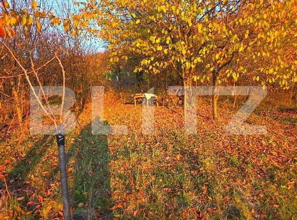 Teren de vânzare Exterior Nord - 182181TV | BLITZ Târgoviște | Poza3