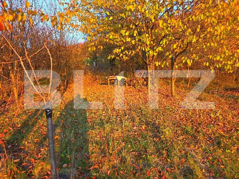 Teren de vânzare Exterior Nord - 182181TV | BLITZ Târgoviște | Poza3