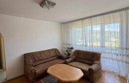 Apartament luminos cu 3 camere Moreni