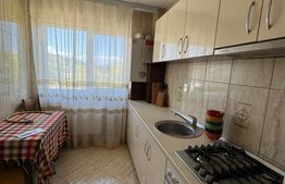 Apartament luminos cu 3 camere Moreni