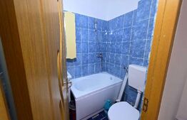 Apartament complet renovat în 2024 – Mija