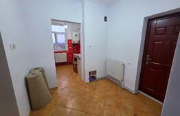 Apartament complet renovat în 2024 – Mija