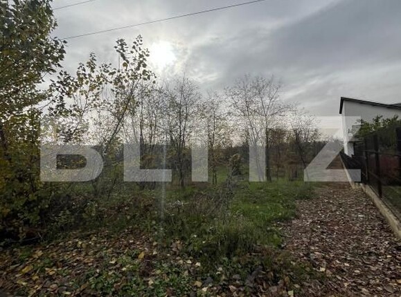 Teren de vânzare Centura - 182463TV | BLITZ Târgoviște | Poza1