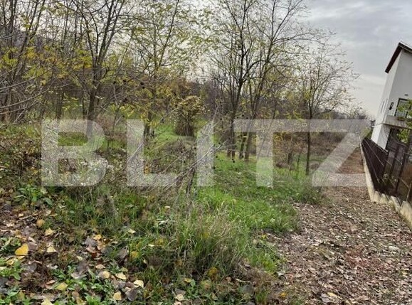 Teren de vânzare Centura - 182463TV | BLITZ Târgoviște | Poza3