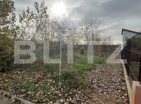 Teren de vânzare Centura - 182463TV | BLITZ Târgoviște | Poza2