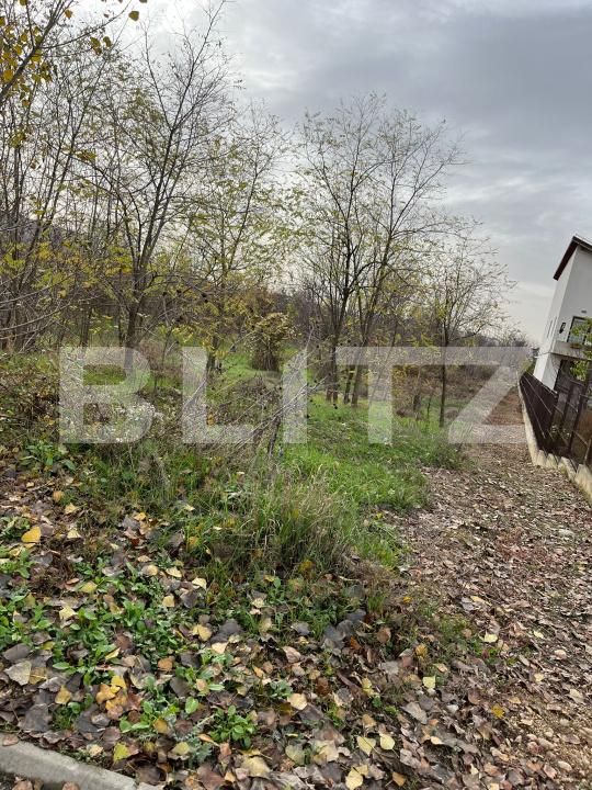 Teren de vânzare Centura - 182463TV | BLITZ Târgoviște | Poza3