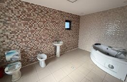 Casă mare, 9 camere, curte 1000 mp – disponibilă pentru închiriere