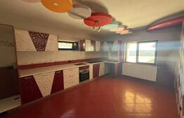 Casă mare, 9 camere, curte 1000 mp – disponibilă pentru închiriere