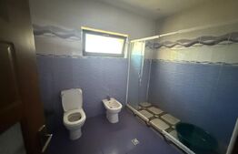 Casă mare, 9 camere, curte 1000 mp – disponibilă pentru închiriere