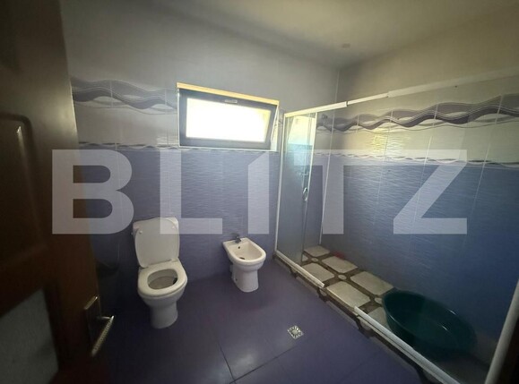 Casa de închiriat 9 camere Exterior Nord - 182601CI | BLITZ Târgoviște | Poza10