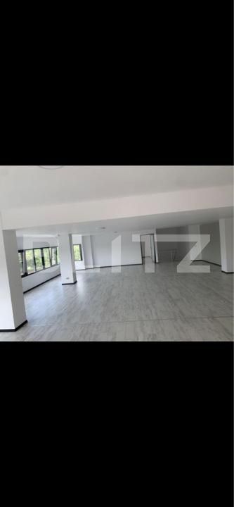 Spațiu industrial de închiriat Suseni - 182862SII | BLITZ Târgoviște | Poza2