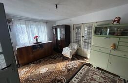 Casa 67 mp, 2727 mp teren, 1190 mp extravilan, zona Doicesti