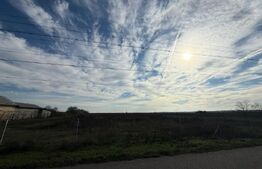 Teren 19.240 mp Geangoesti, Dambovita