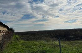 Teren 19.240 mp Geangoesti, Dambovita