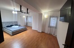 Penthouse 4 camere, 160 mp, zona Micro 3