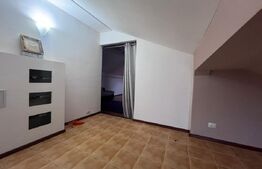Penthouse 4 camere, 160 mp, zona Micro 3